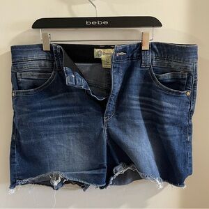 Democracy Denim Shorts